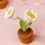 Mini Crochet Flowers Potted Plant - Tiny Mochi